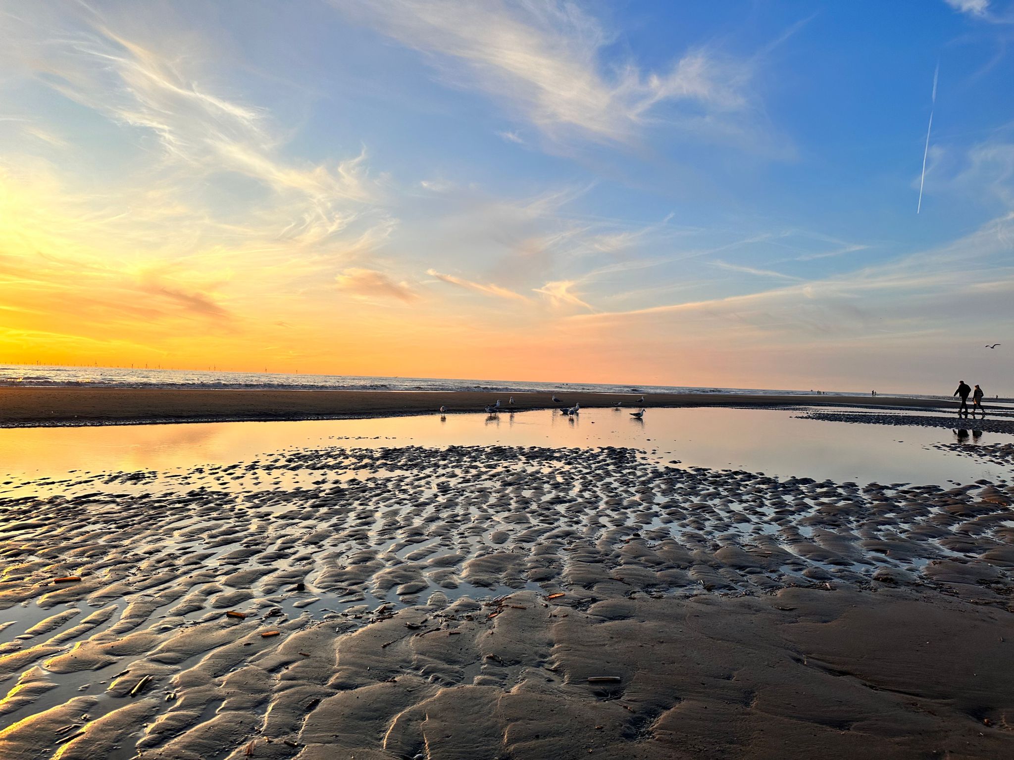 Vakantiepark Noordwijk       