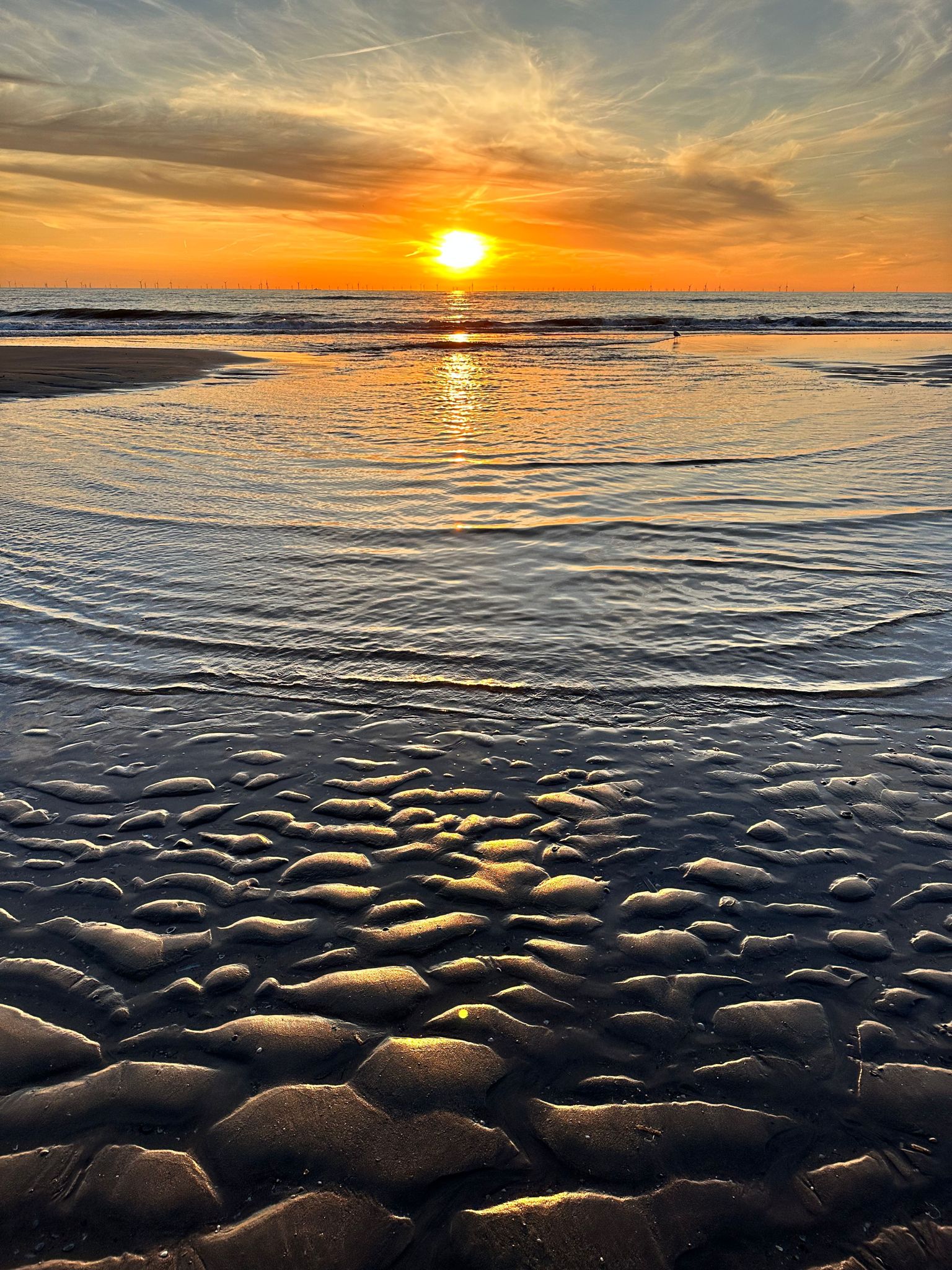 Photo album Holiday Noordwijk