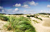 Noordwijk duingebied